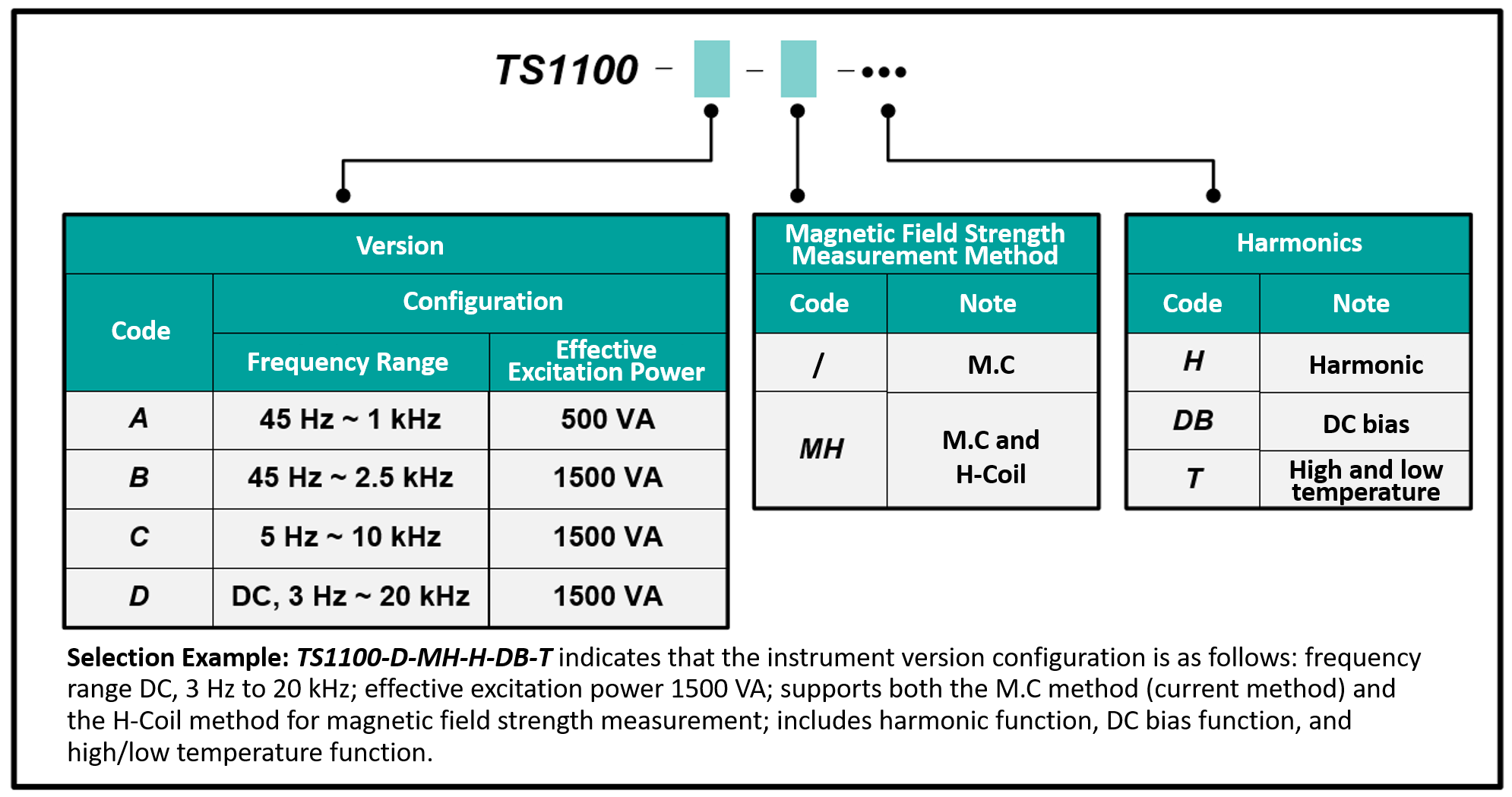 TS1100 ordering information.png
